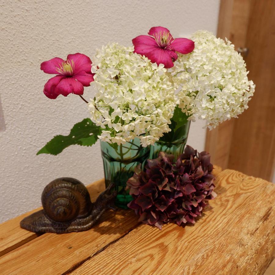 UrsensollenHof Elf公寓 外观 照片
